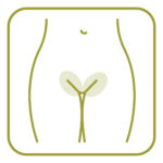 Bikini Wax
